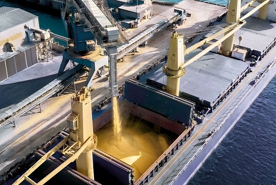 Российский экспорт зерна вырос на 11% и превысил 61 млн тонн по итогам сезона 2025/26